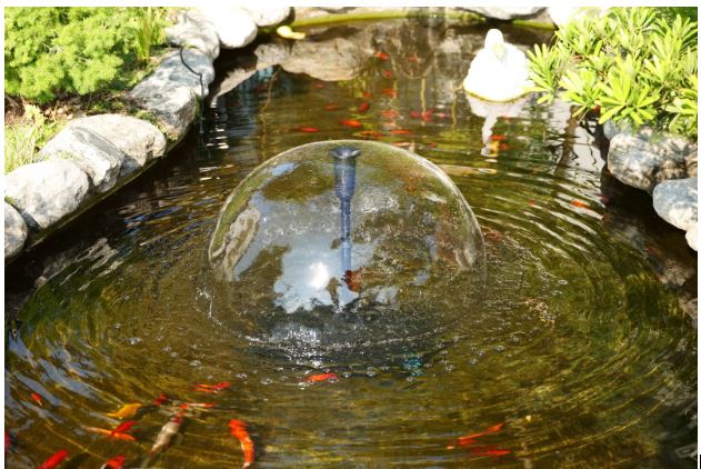 How to Build a Fish Pond or Garden Pond: A Step‑by‑Step Guide